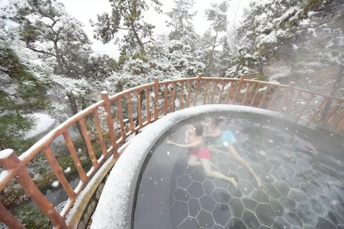 蒙山旅游度假區(qū)圓滿收官，累計接待游客26.07萬人次，實現(xiàn)旅游綜合收入1060.29萬元